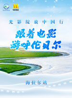 夜夜拍夜夜爽夜夜拍拍拍